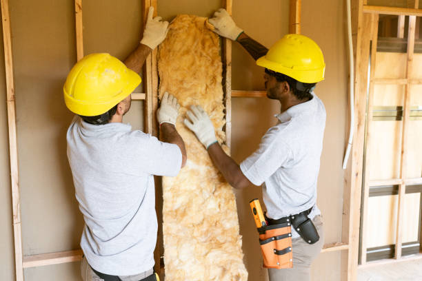 Best Local Insulation Services  in USA